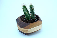 Load image into Gallery viewer, Geometric Cactus &amp; Succulent Planter